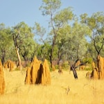 Northern Territory, Australia