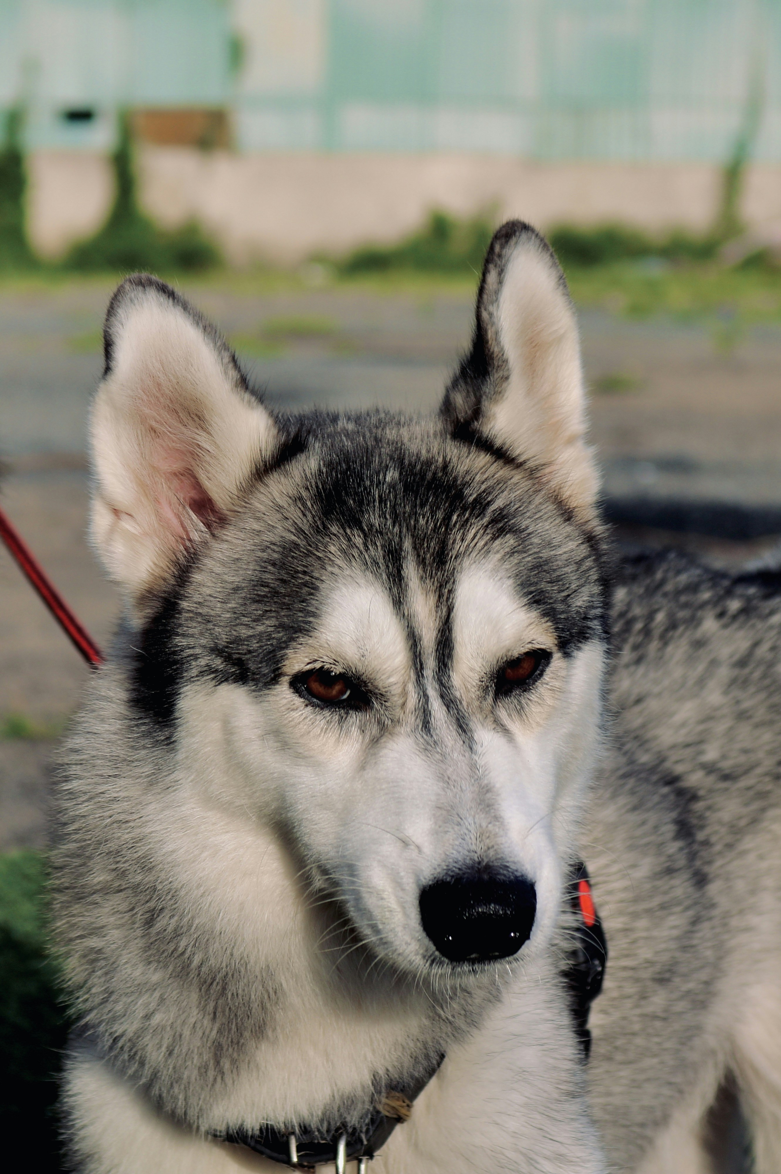 Photo by phungthanhtrieu