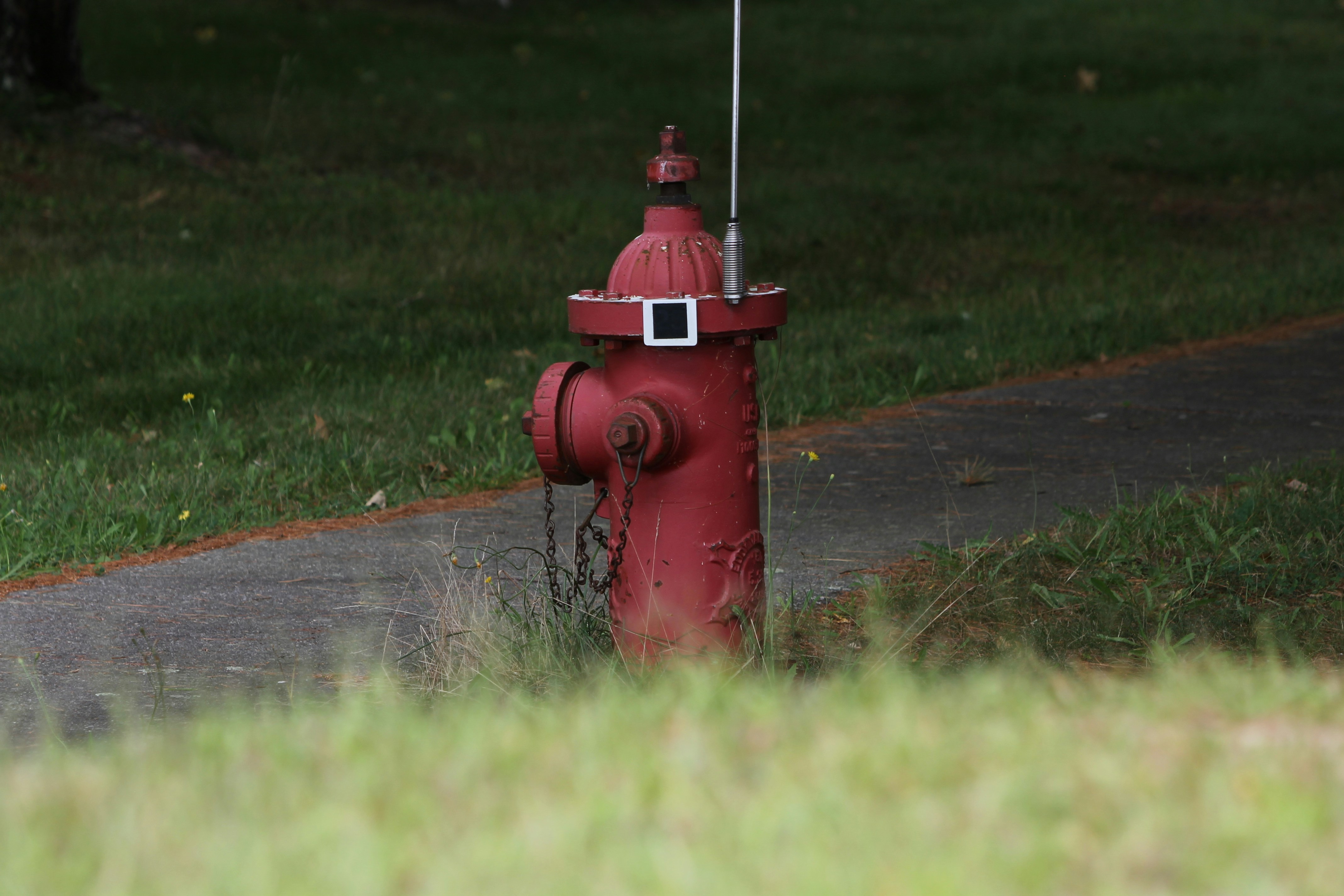 Photo by koraykaramanoglu