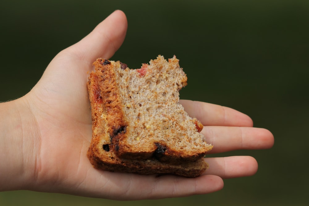 a person holding a piece of bread in their hand