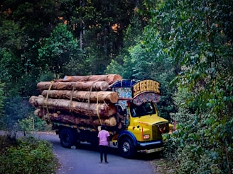 A colorful truck is laden with large logs, parked on a narrow, winding road surrounded by thick green forest. A person in a pink shirt stands near the front of the truck facing it.