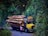 A colorful truck is laden with large logs, parked on a narrow, winding road surrounded by thick green forest. A person in a pink shirt stands near the front of the truck facing it.
