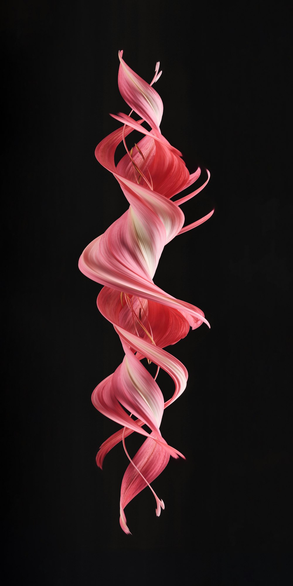 a red and white swirl on a black background