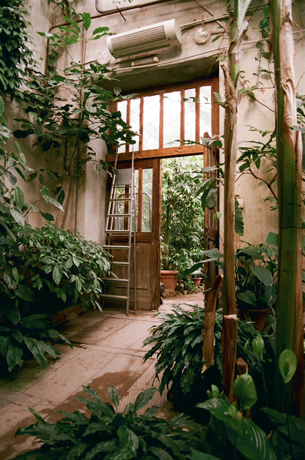 a room filled with lots of green plants