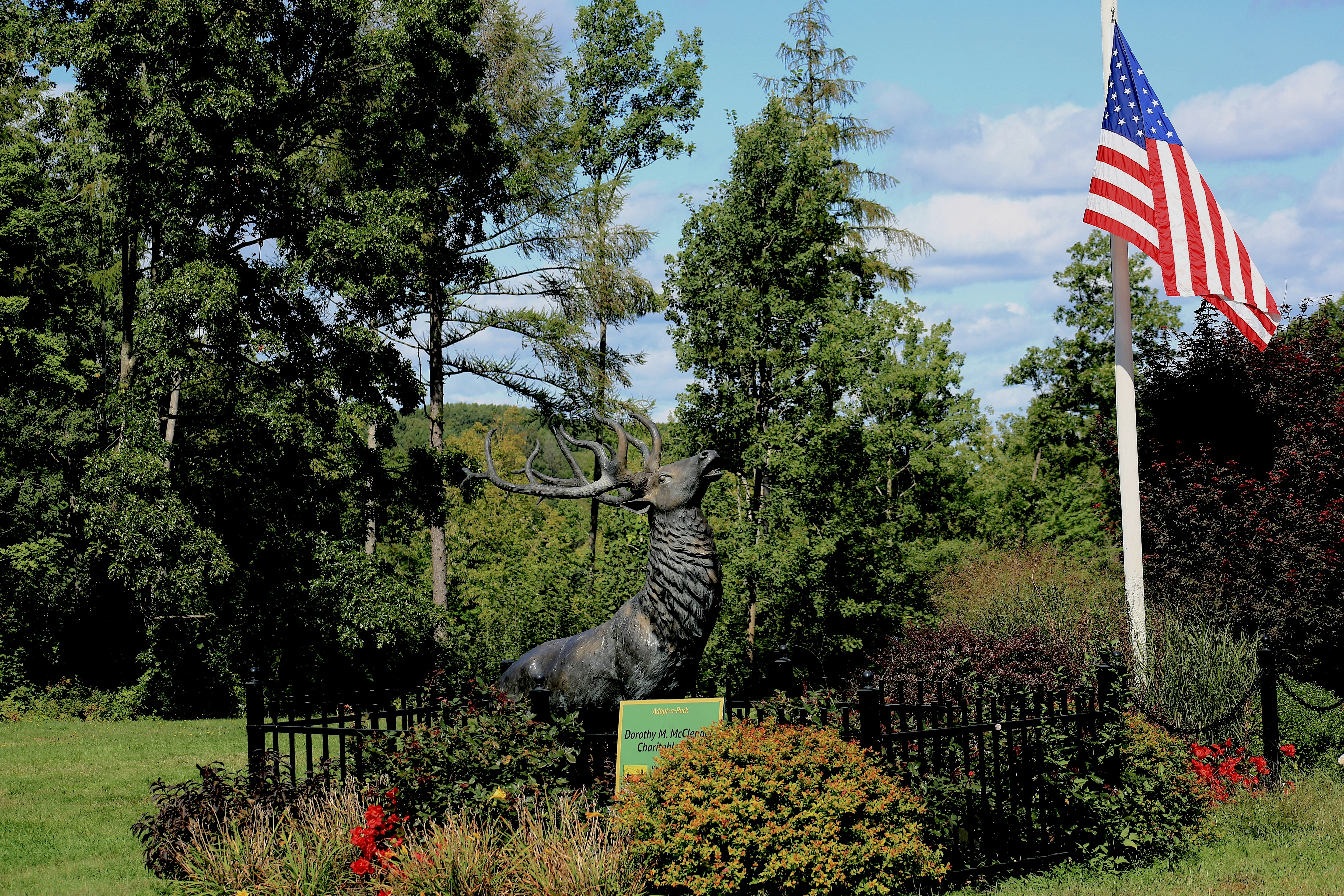 Wynn Memorial Park