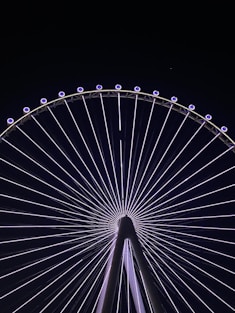 a large ferris wheel lit up at night