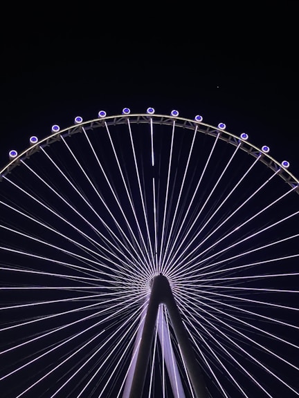 a large ferris wheel lit up at night