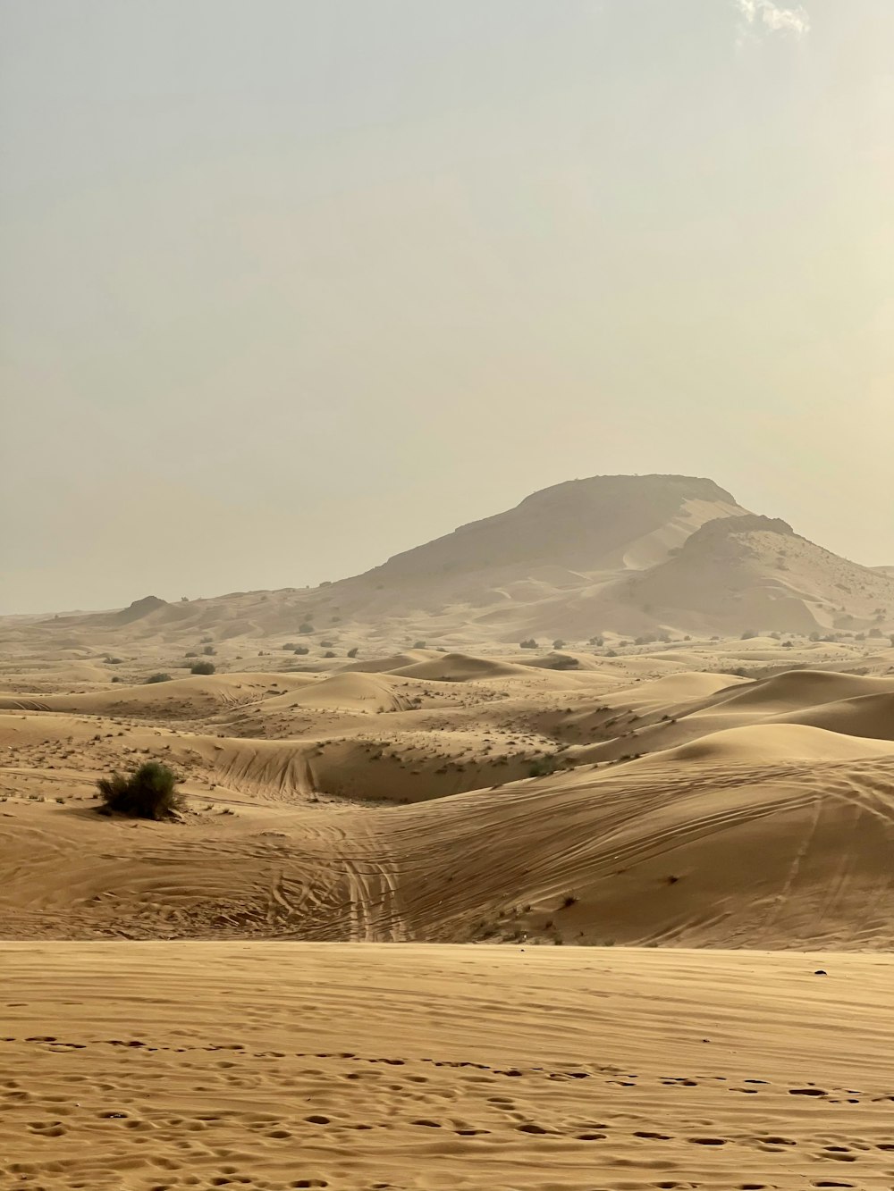 a desert landscape with a mountain in the distance