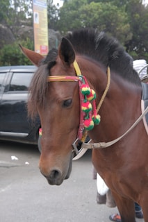 Close-up of a horse adorned with vibrant Andean decorations ready for a spiritual journey.