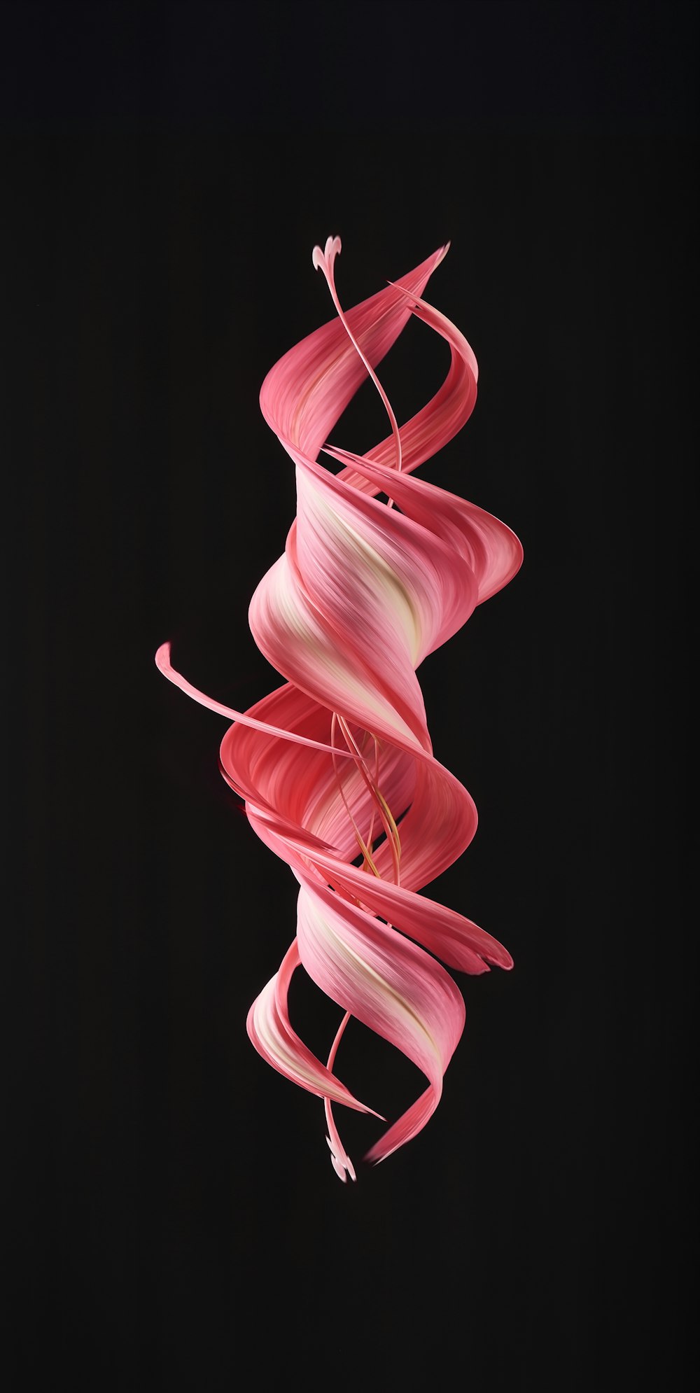 a spiral of pink hair on a black background
