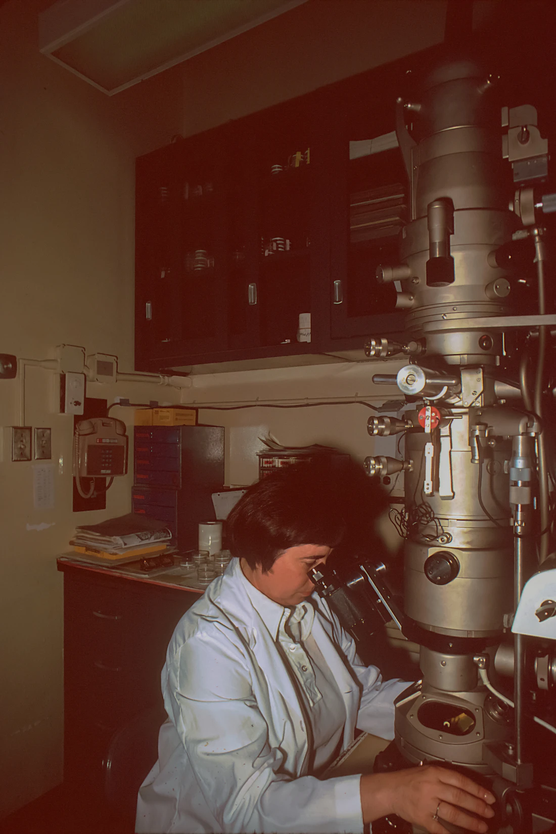 Biotechnology research in a modern laboratory