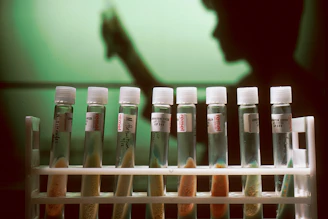 a row of test tubes filled with different colored liquids