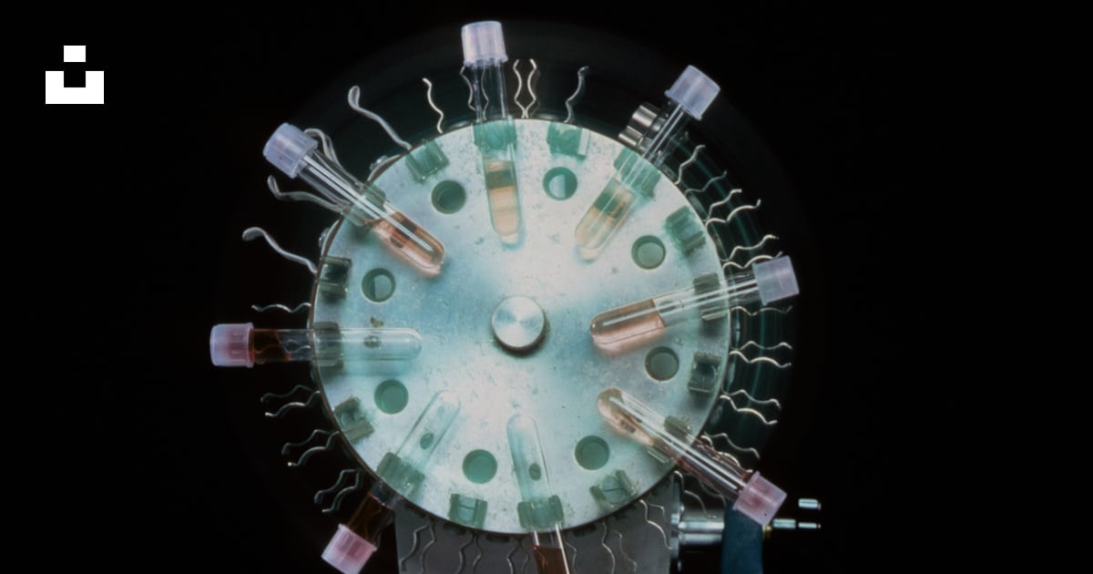 A close up of a machine with many tubes attached to it photo – Free ...