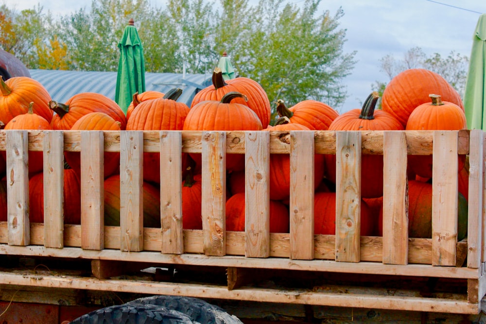 a truck filled with lots of orange pumpkins