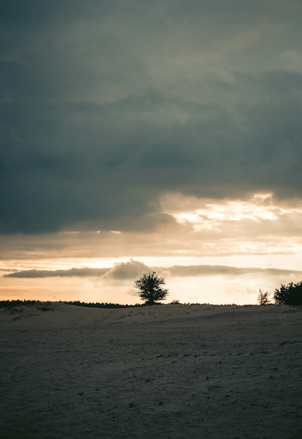 a horse standing in a field under a cloudy sky