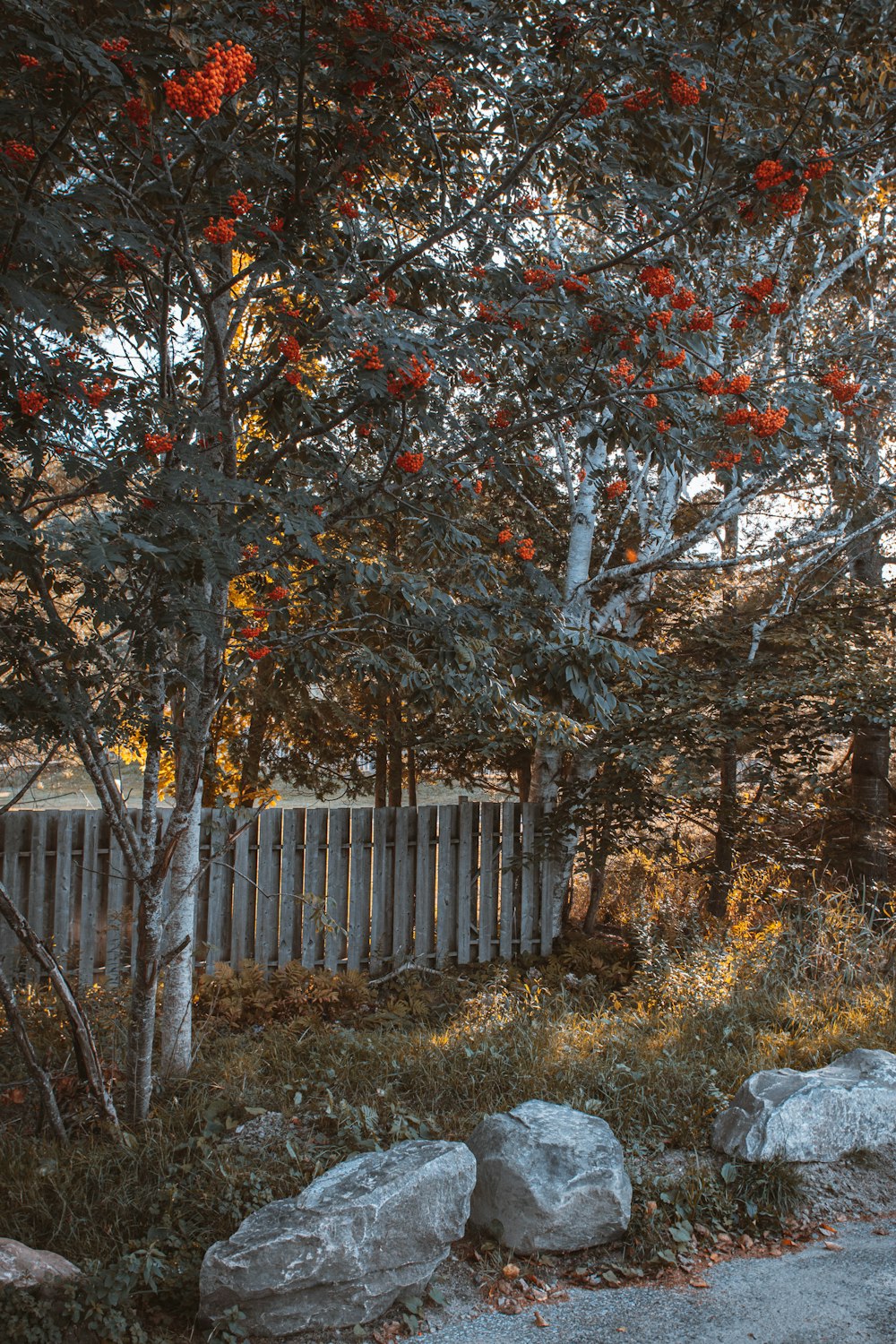 a red fire hydrant sitting next to a wooden fence