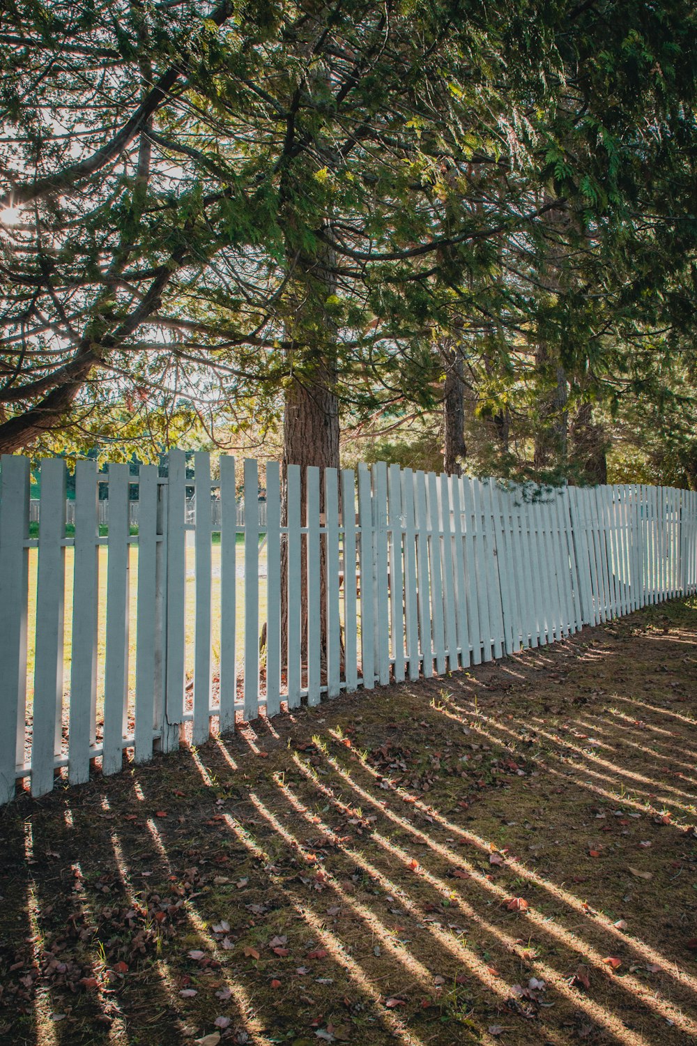 a white picket fence in front of a tree