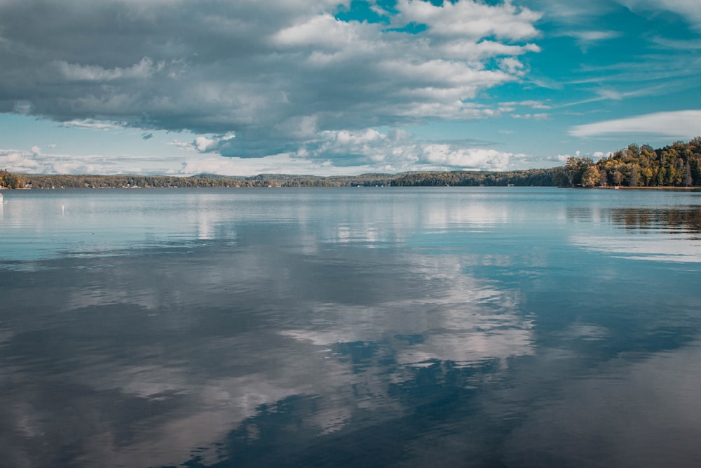 a large body of water surrounded by trees