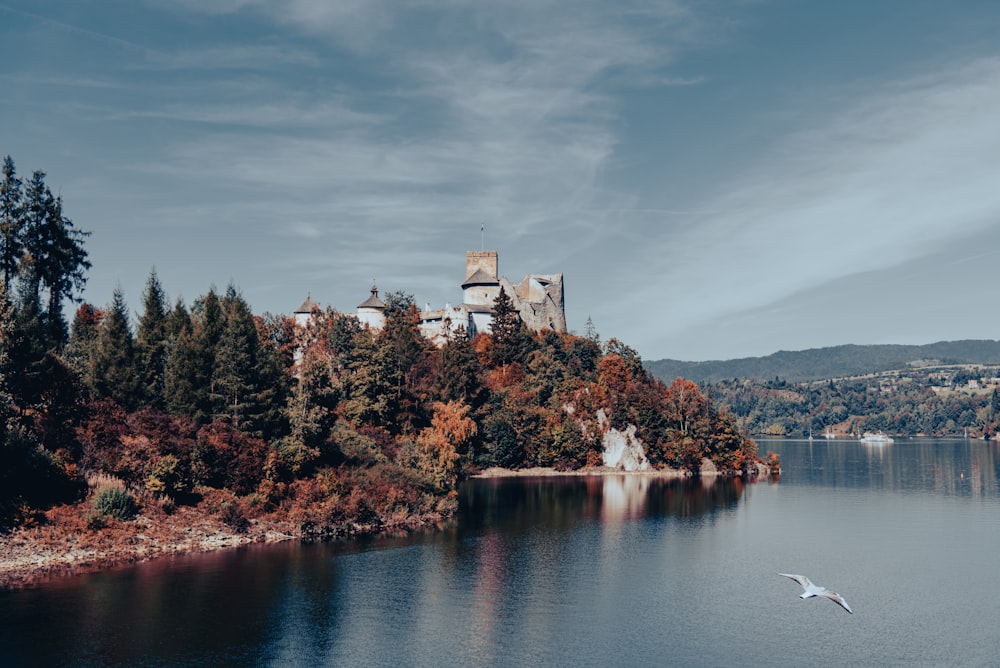 a bird flying over a lake with a castle in the background