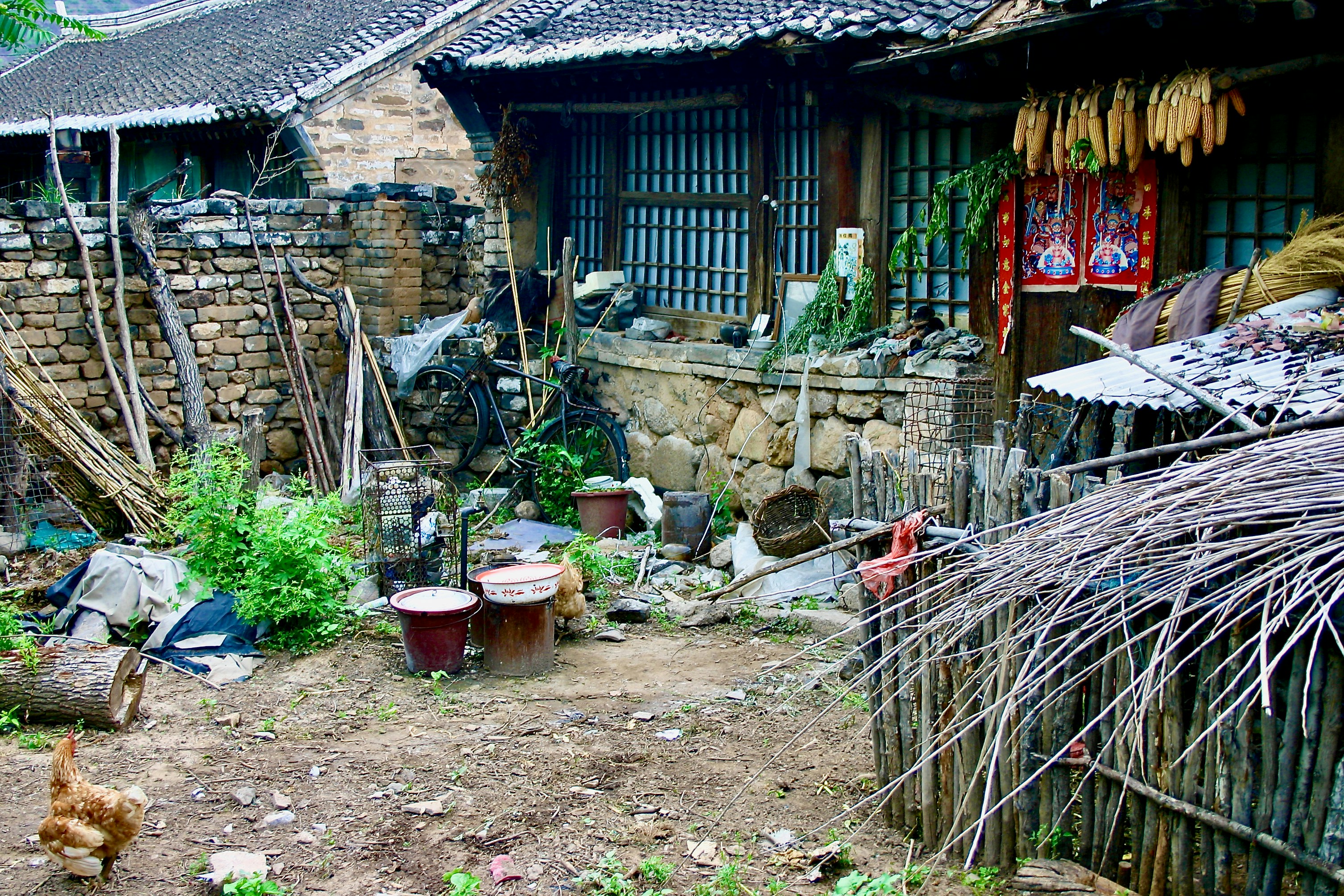 Photo by peterburdon