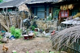 A rustic rural yard in front of an old stone and wood house features various items like pots, baskets, and farming tools scattered around. Corn cobs hang under the eaves of the house, while greenery, such as plants and potted herbs, adds life to the scene. A bicycle and a chicken can be seen in the yard, indicating a blend of leisure and farming activities.