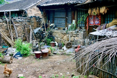 A rustic rural yard in front of an old stone and wood house features various items like pots, baskets, and farming tools scattered around. Corn cobs hang under the eaves of the house, while greenery, such as plants and potted herbs, adds life to the scene. A bicycle and a chicken can be seen in the yard, indicating a blend of leisure and farming activities.