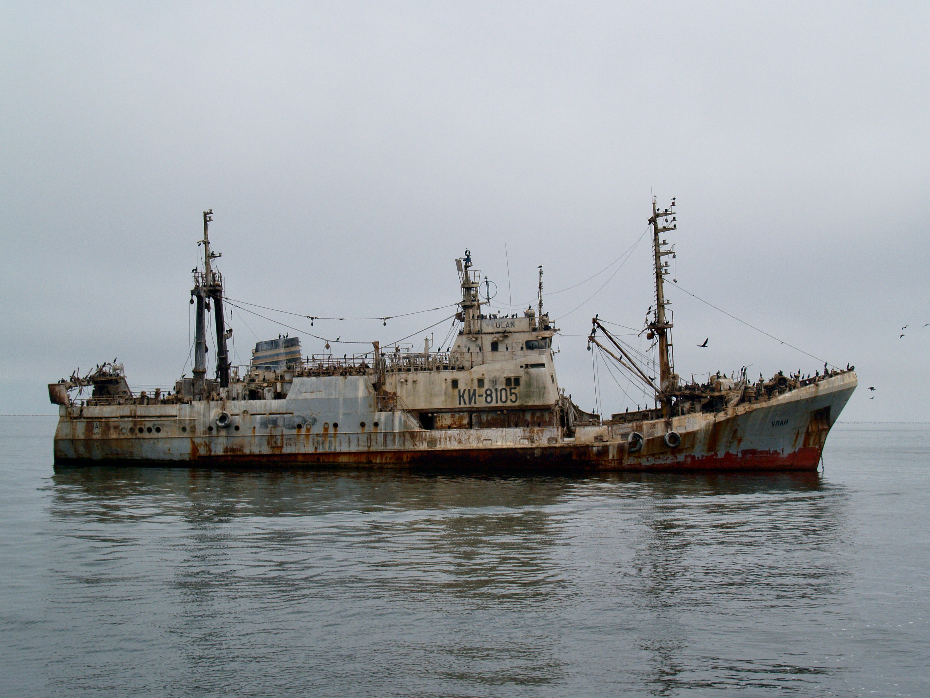 Photo by peterburdon