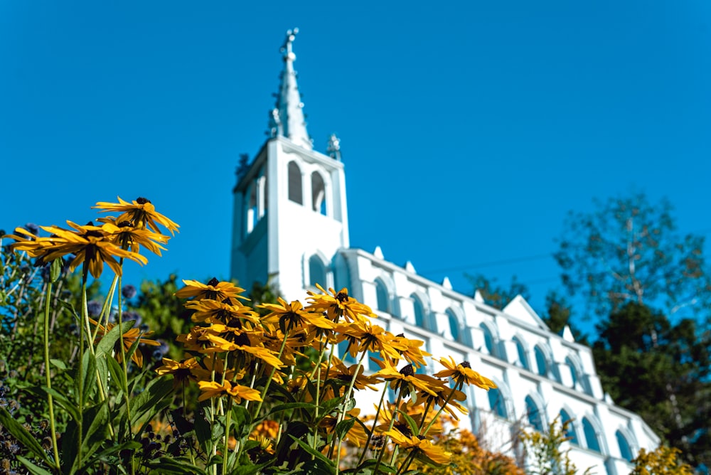 a church steeple with yellow flowers in front of it