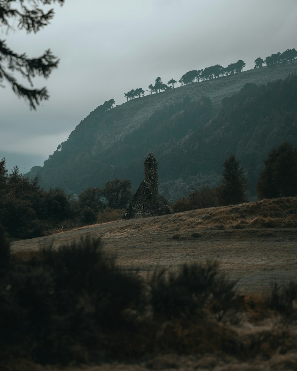 una grande collina con alberi in cima ad essa