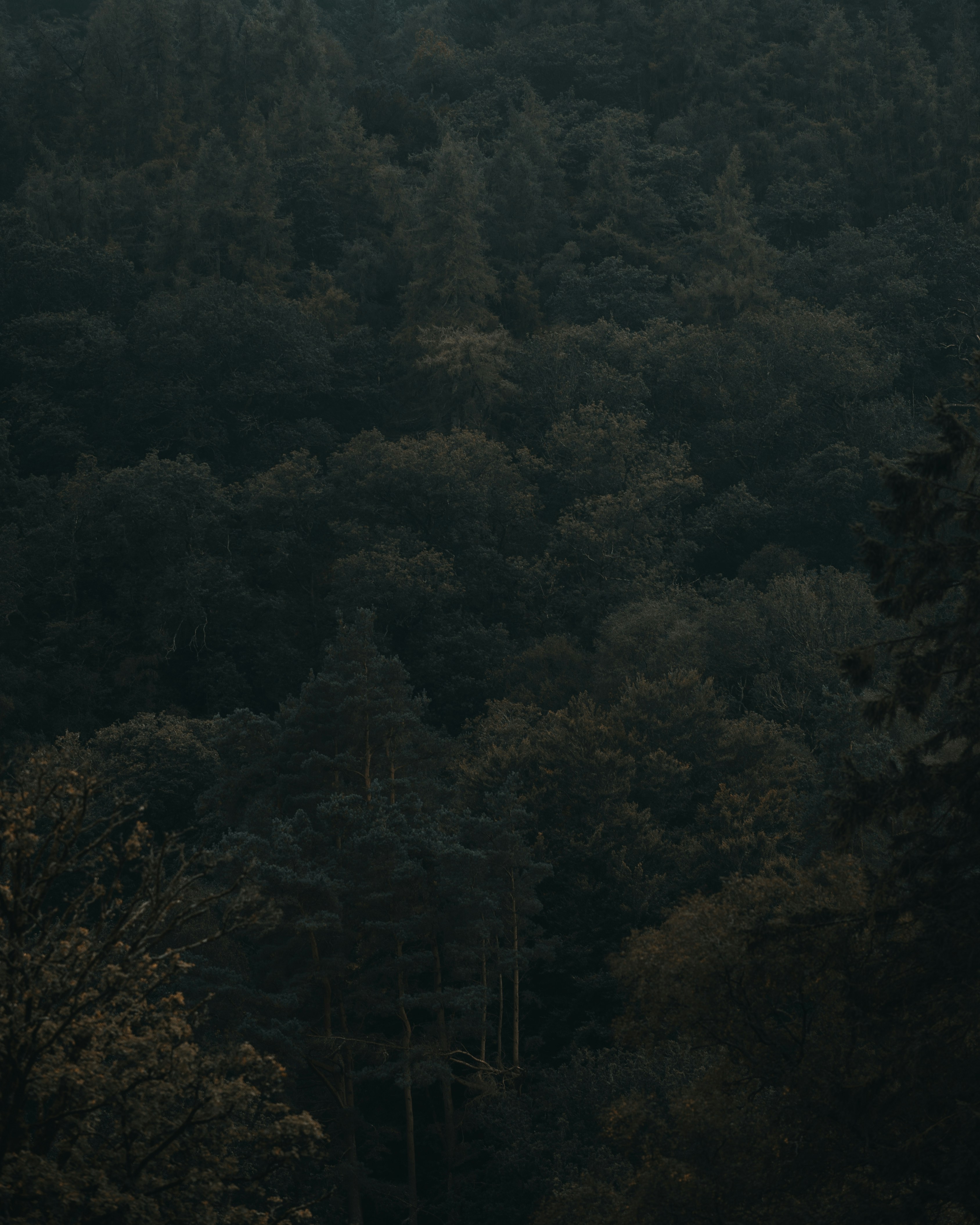 photo-1631566754302-1d318187306a?ixid=M3wxMjA3fDB8MXxzZWFyY2h8Nnx8JUUwJUI4JUEyJUUwJUI4JUI5JUUwJUI4JTlGJUUwJUI5JTg4JUUwJUI4JUIyJUUwJUI5JTgwJUUwJUI4JTlBJUUwJUI4JTk3fGVufDB8fHx8MTc1NTk4MDc5OXww\u0026ixlib=rb-4.1.0