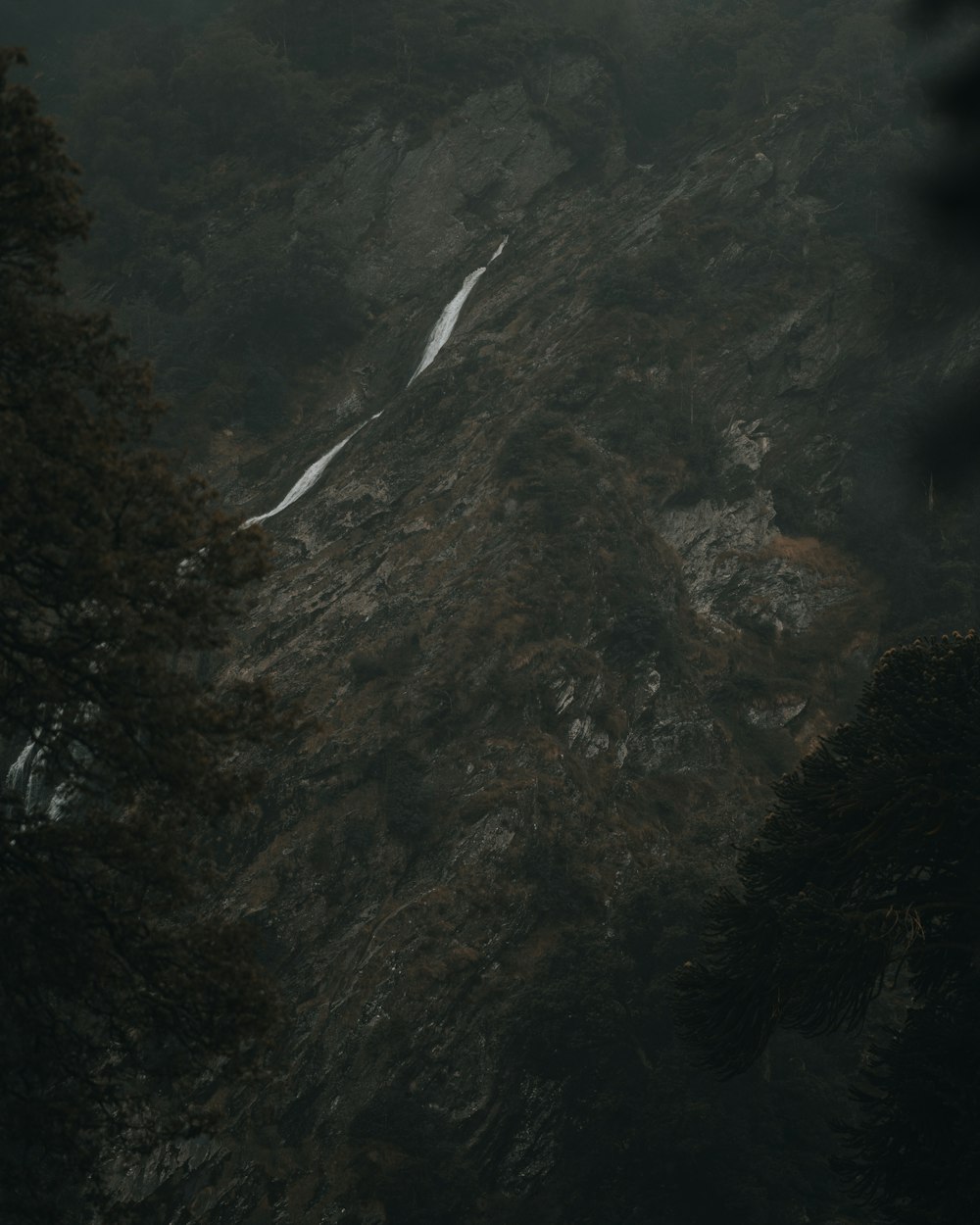 a view of a snow covered mountain from the top of a hill