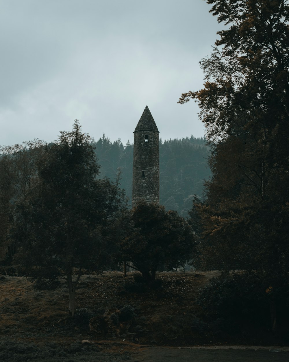 Una alta torre del reloj que se eleva sobre un bosque
