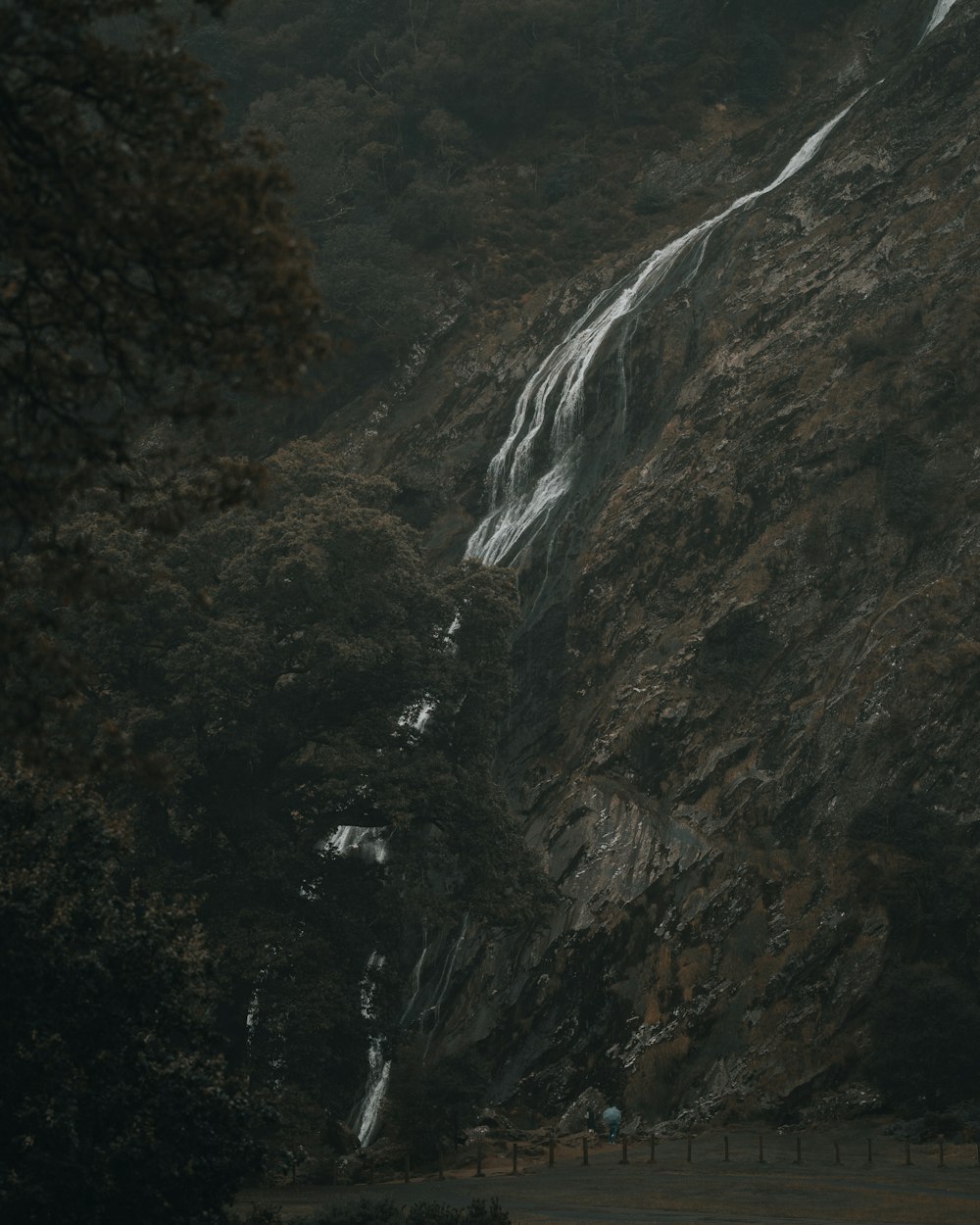 a waterfall in the middle of a forest