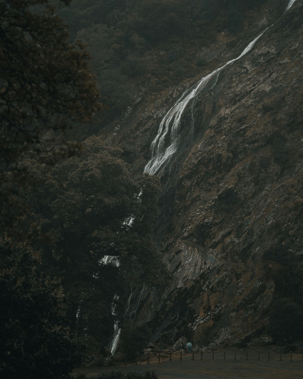 森の真ん中にある滝