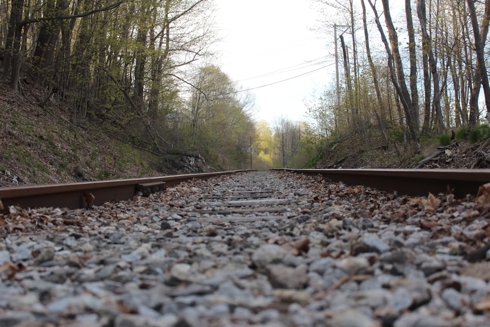 a train track in the middle of a wooded area