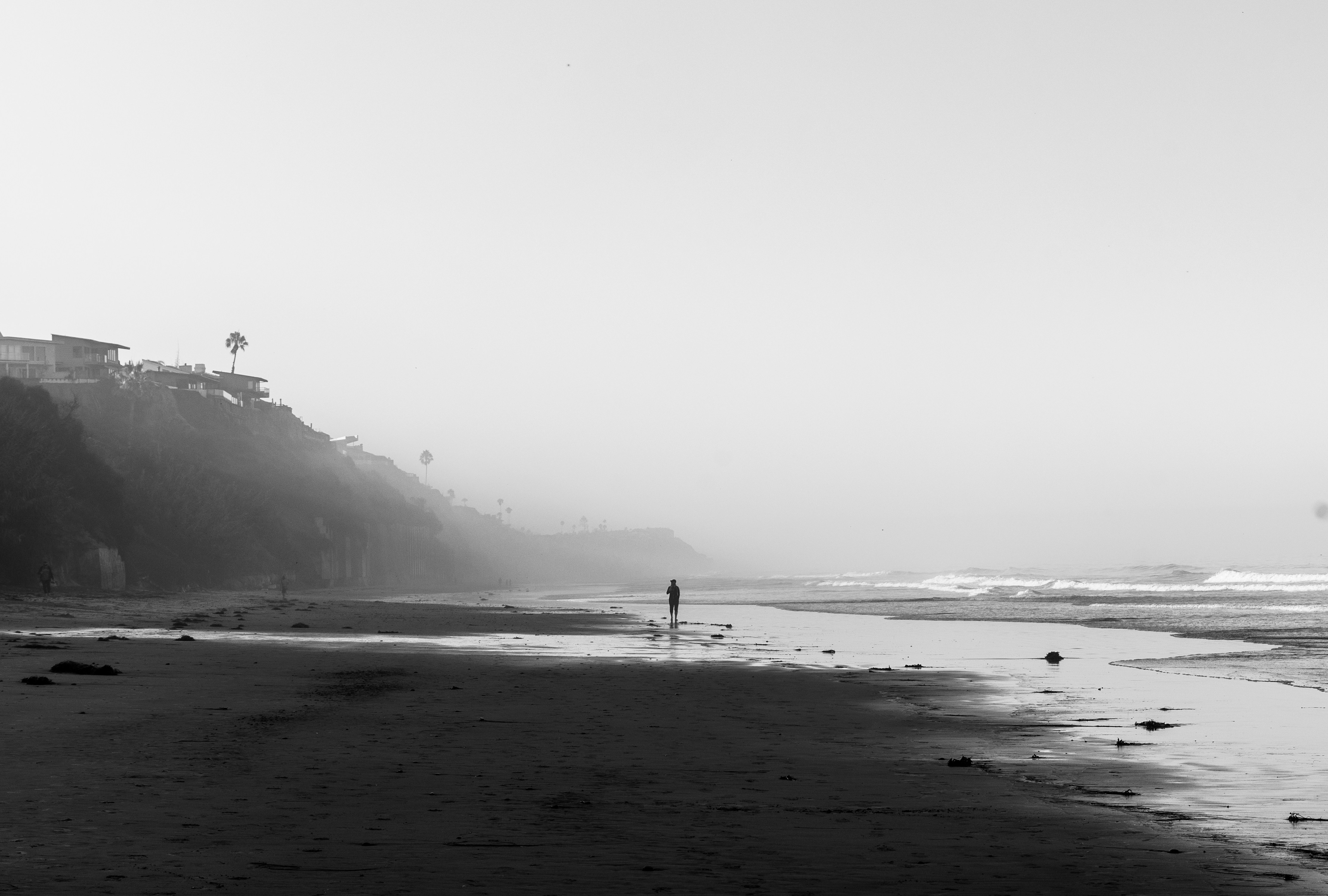 Photo by reednaliboff