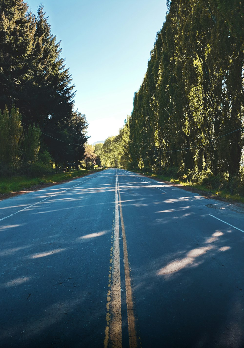 an empty road with trees on both sides