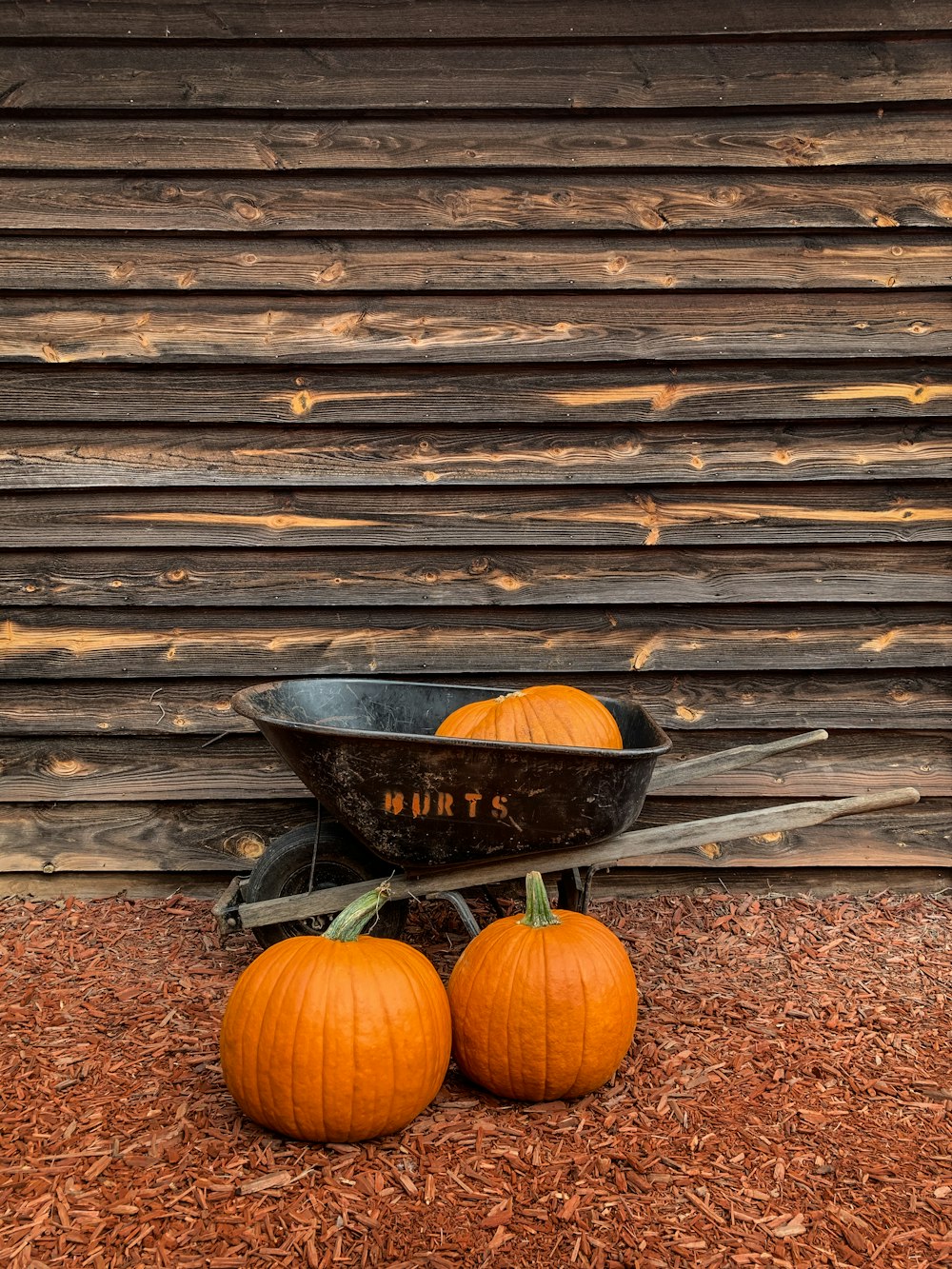a wheelbarrow filled with three pumpkins sitting on the ground