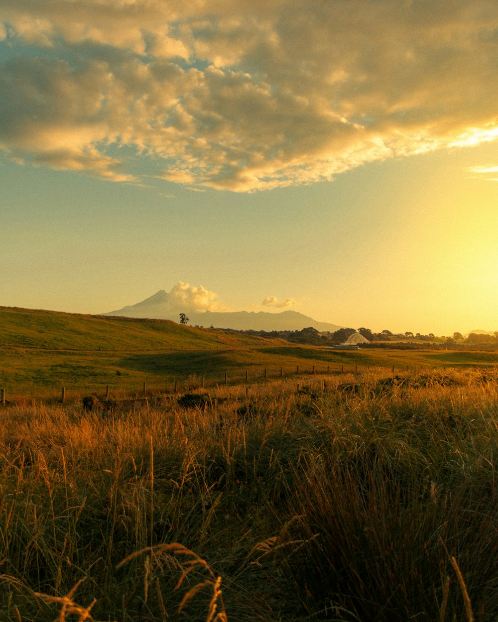 Il sole sta tramontando su un campo erboso