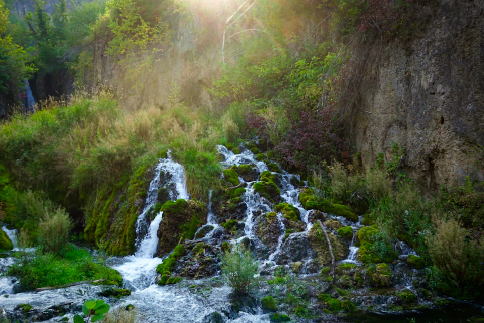 The image depicts a serene waterfall cascading down from a rocky cliff into a pool below, surrounded by lush greenery and vibrant flowers. The water is crystal clear, reflecting the sunlight that filters through the trees above. The perspective of the photo is taken from a low angle, emphasizing the height of the waterfall and the grandeur of the landscape.
