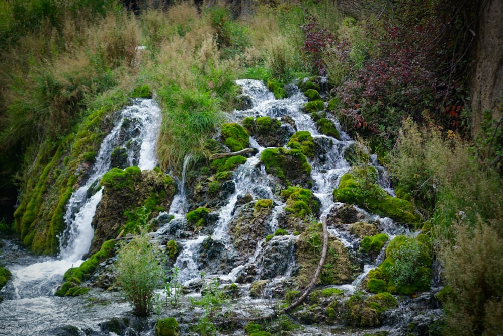 a waterfall with moss growing on the rocks