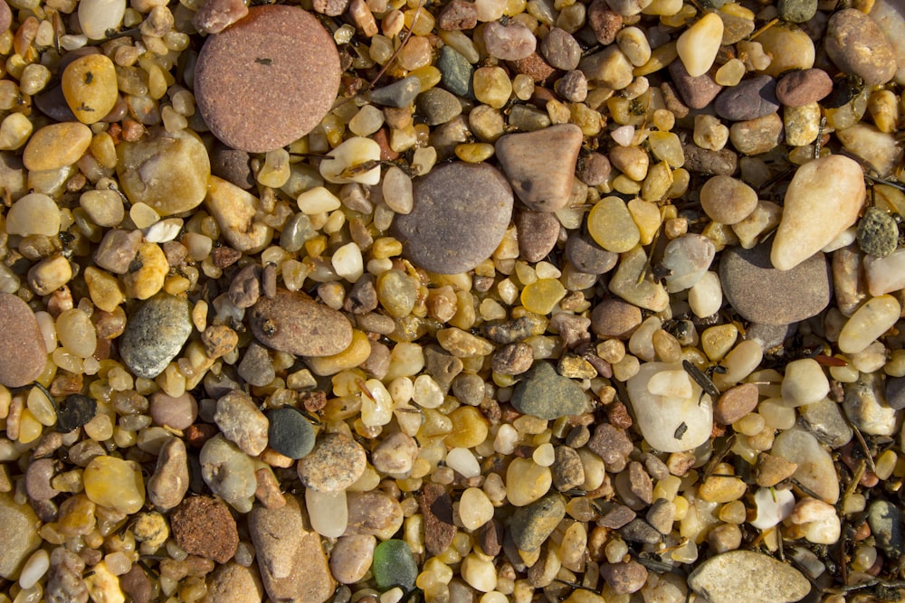 a bunch of rocks that are on the ground