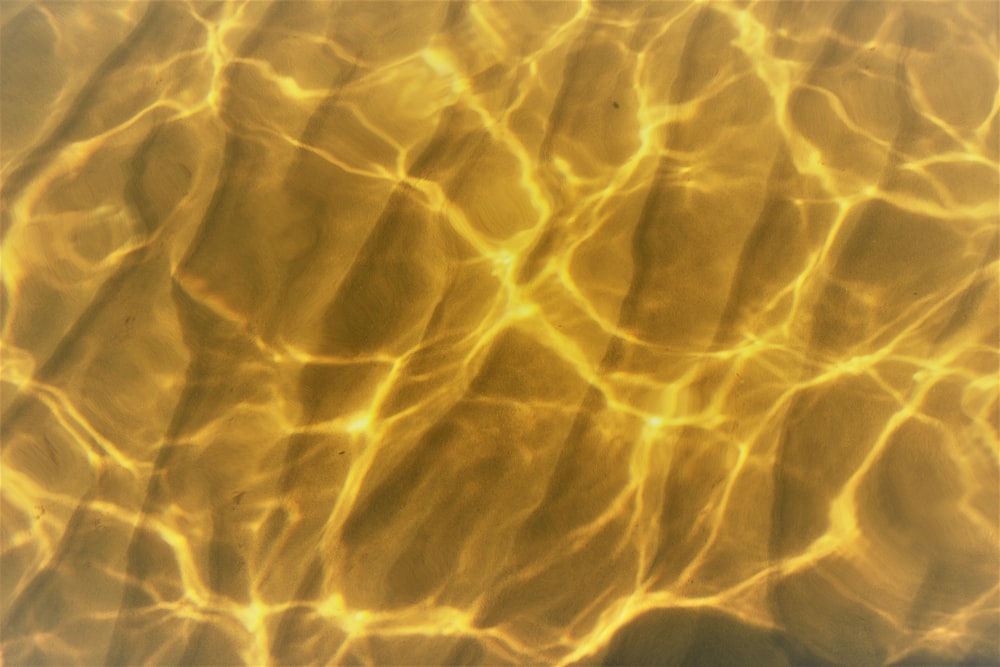a close up of a water surface with sunlight shining on it