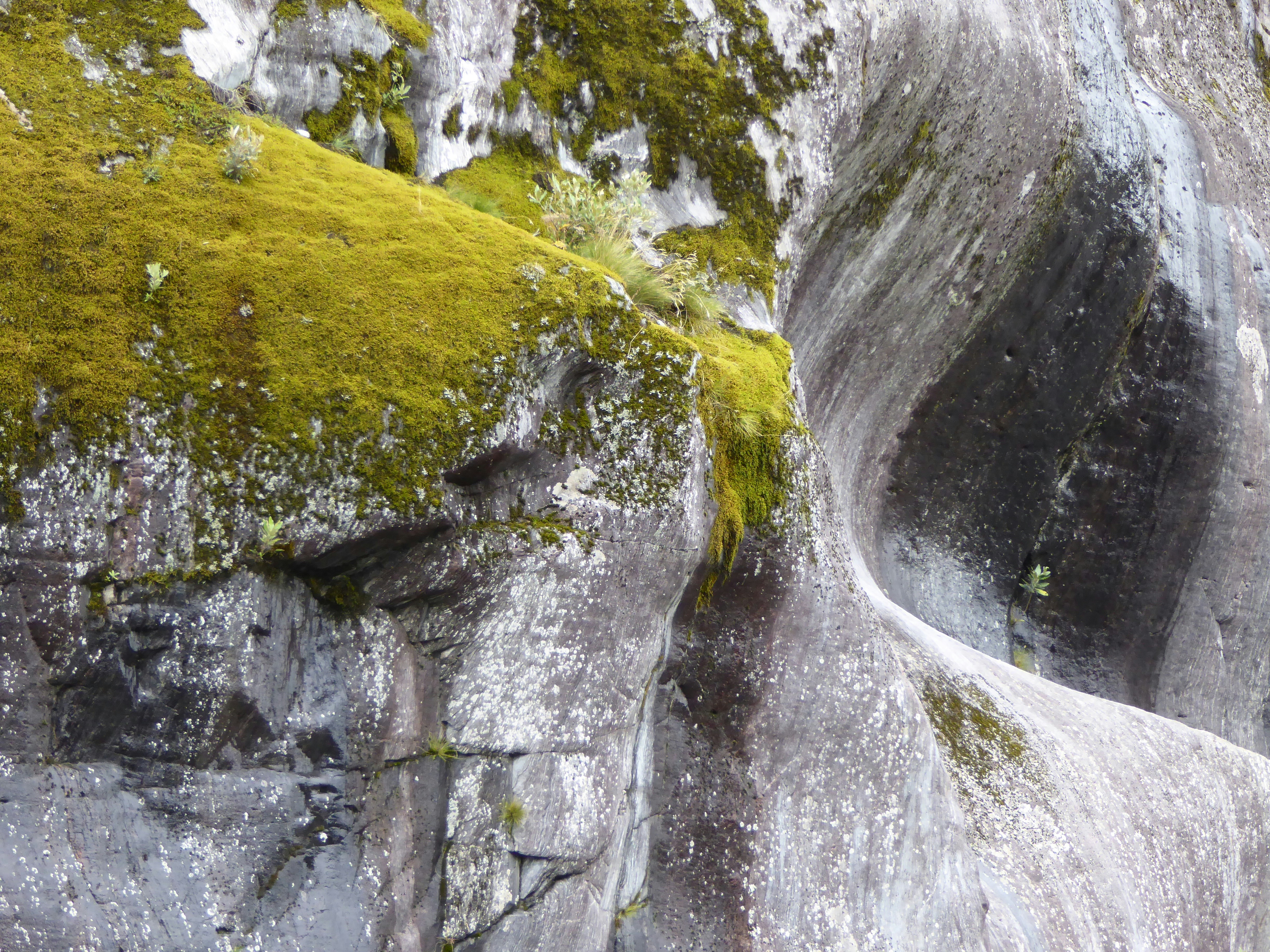 Photo by traumhaendler