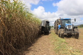 a couple of tractors that are in the dirt