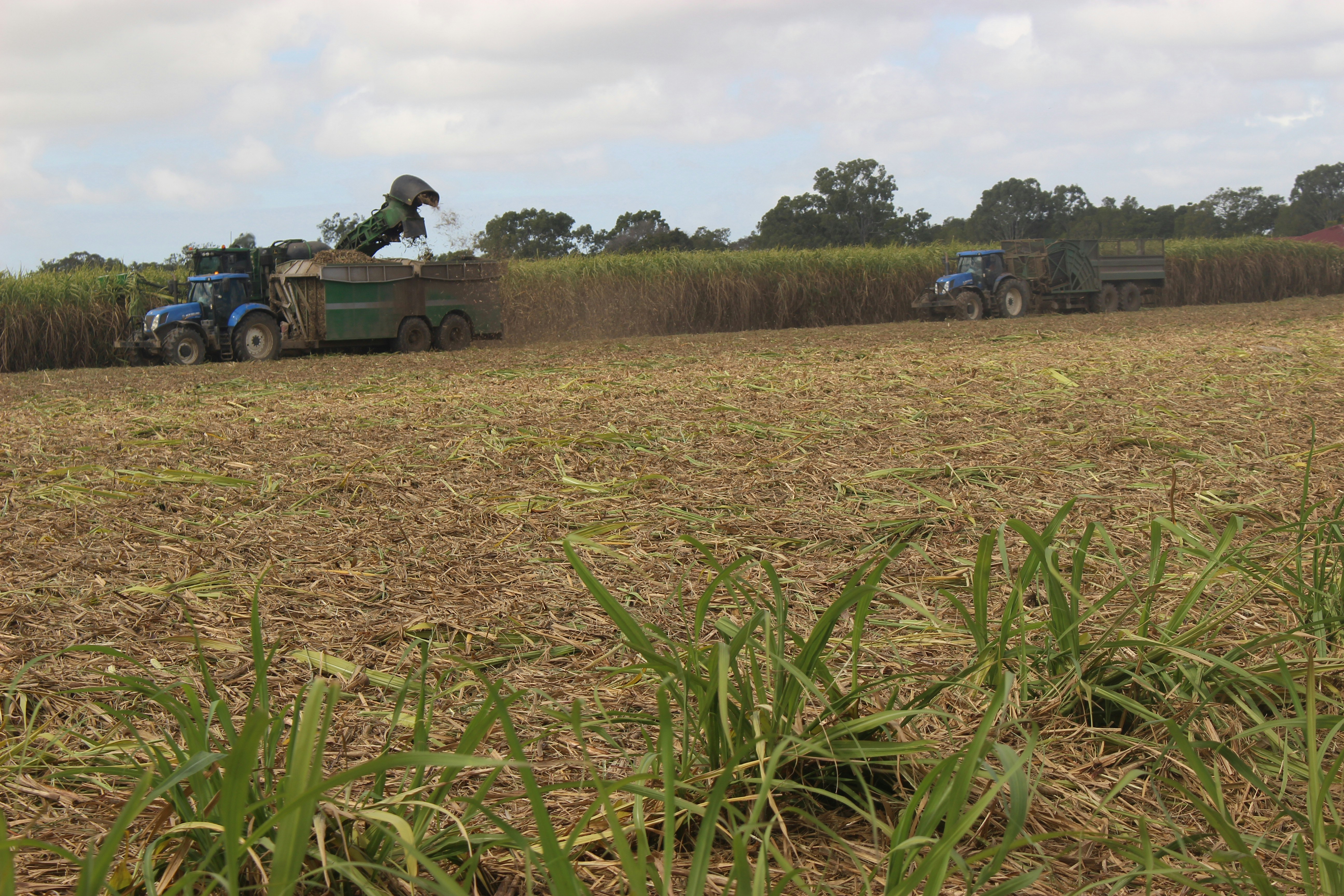 Essential Agro Inputs for Farmers