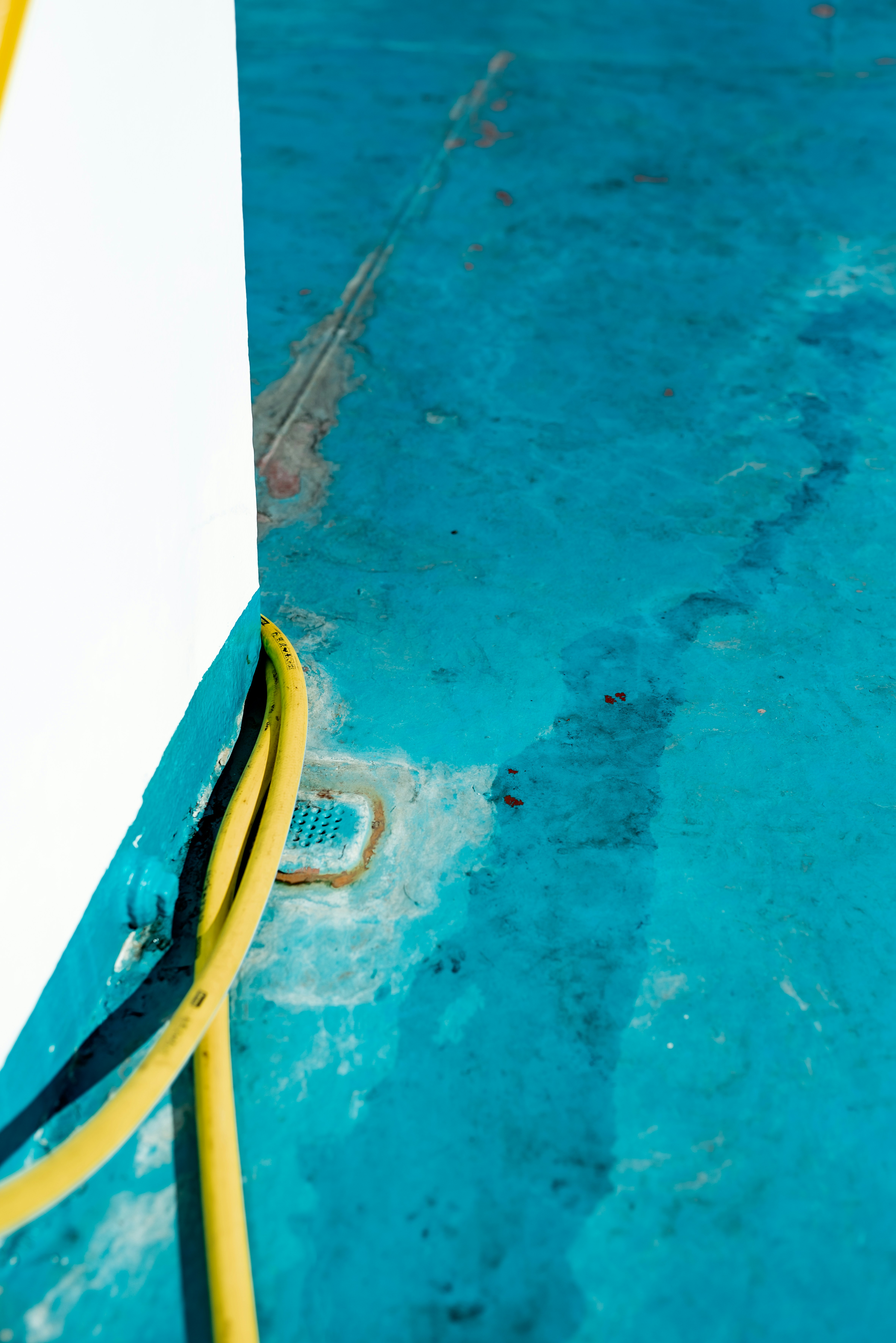 Photo by lauraadaiphoto