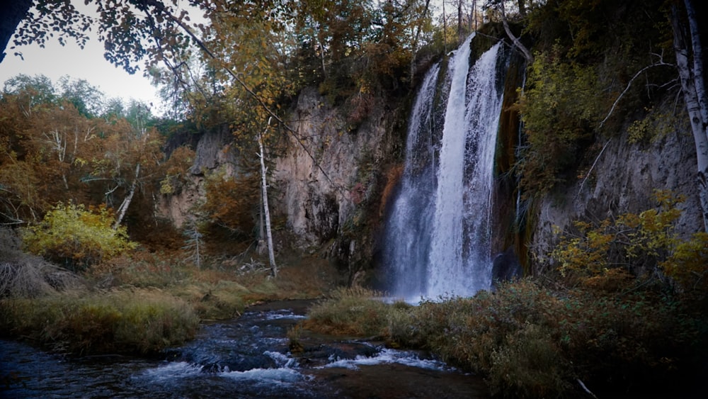 a large waterfall in the middle of a forest