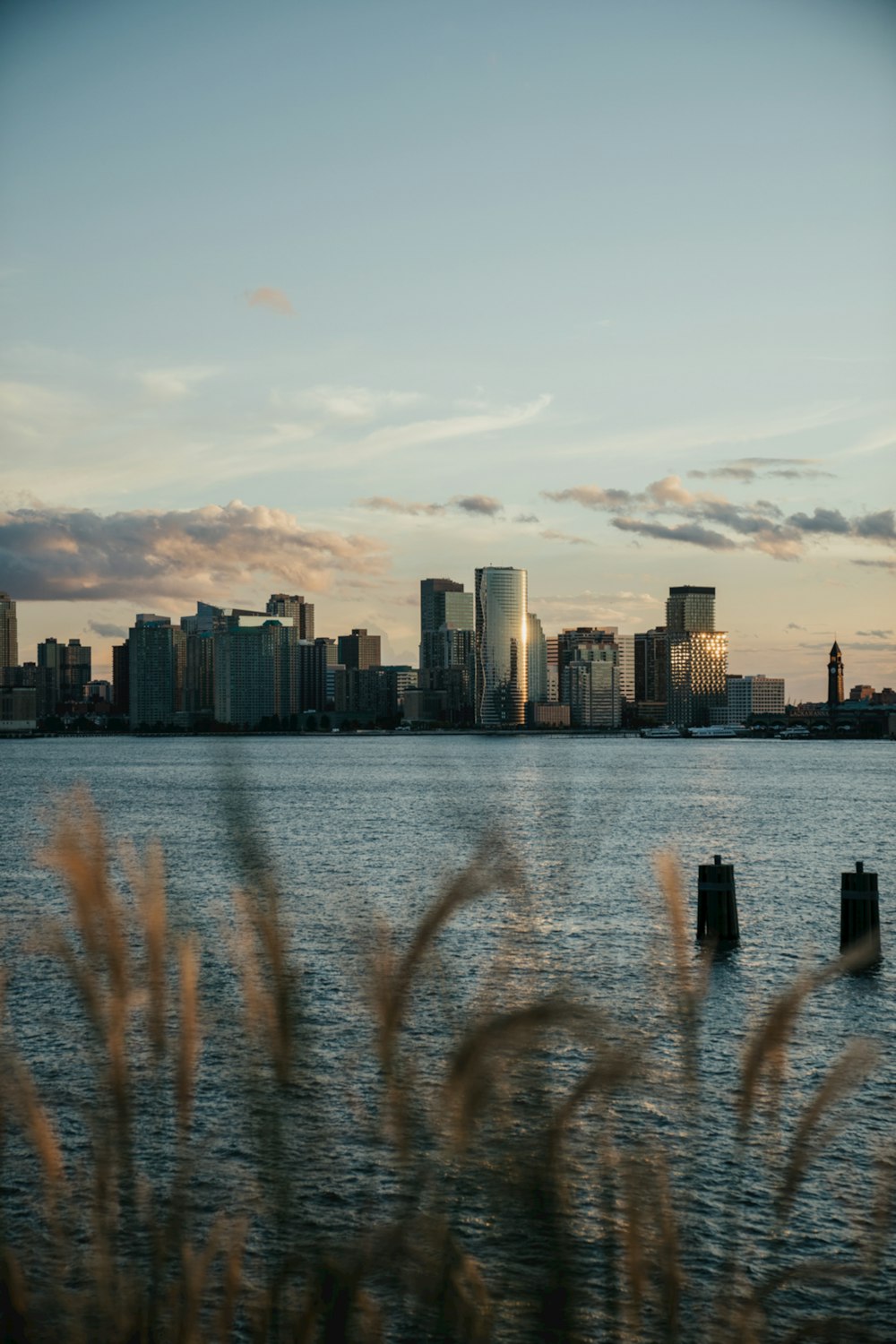 a body of water with tall buildings in the background