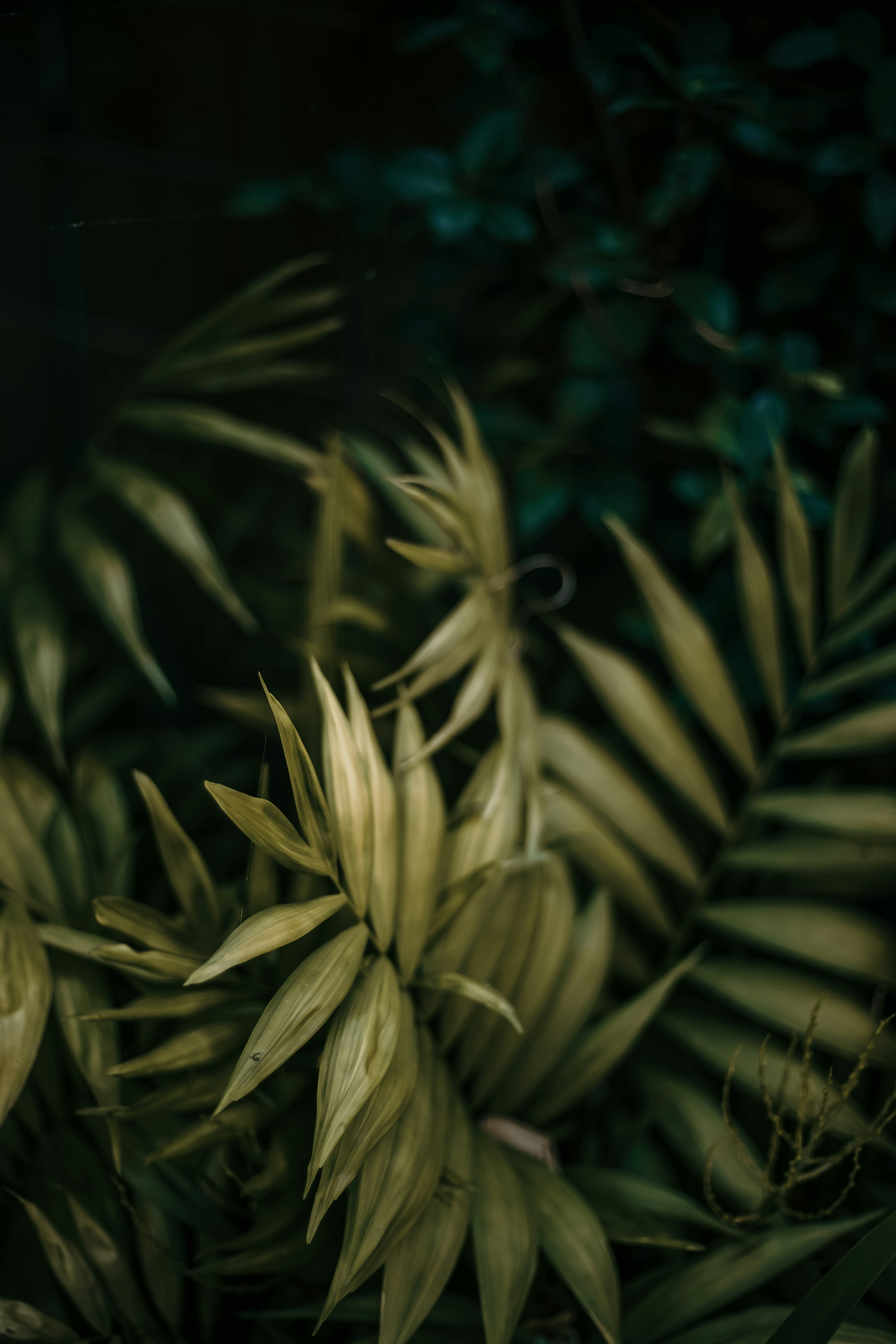 Photo by janu_bekker